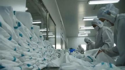 棗莊市市中區黨建引領 優化服務 做好企業復產用工保障