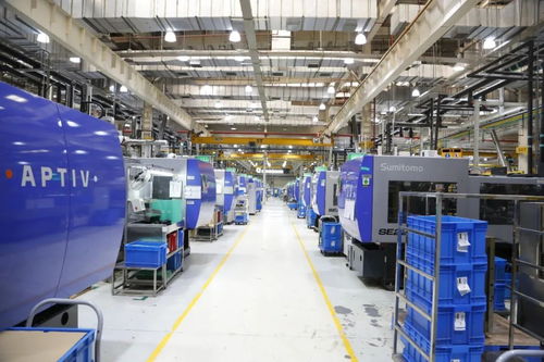 嘉定智能工廠再升級(jí) 六萬(wàn)平米藍(lán)圖下的企業(yè)咨詢服務(wù)新篇章